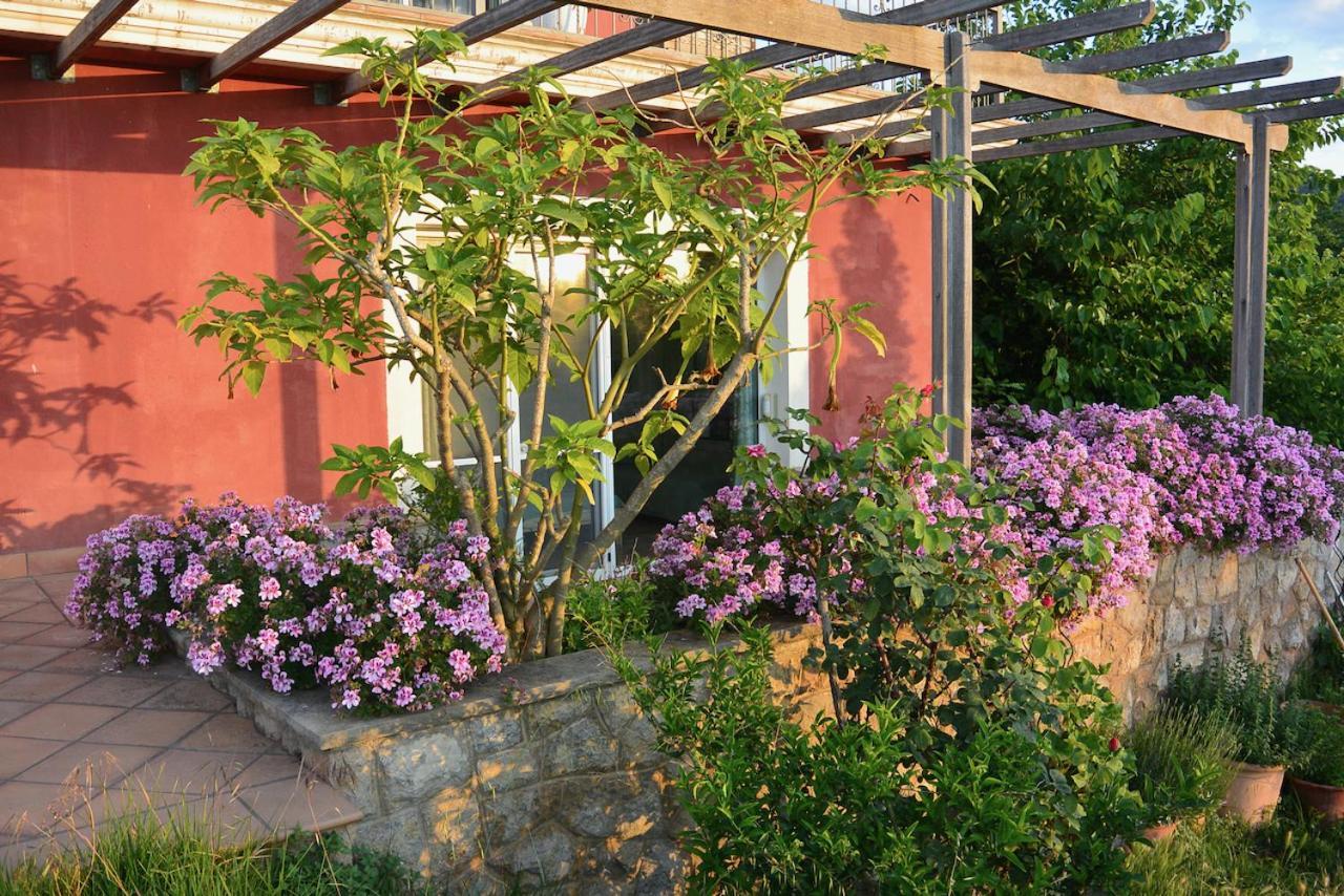 Ferienwohnung L'Albaida, Tranquility, Views Of Sea And Mountains Vilanova de Escornalbou Exterior foto