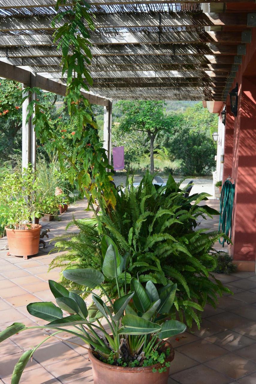 Ferienwohnung L'Albaida, Tranquility, Views Of Sea And Mountains Vilanova de Escornalbou Exterior foto